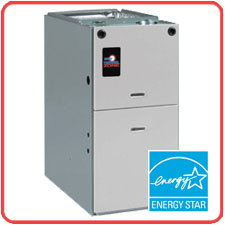 TZ91DH Gas Furnace